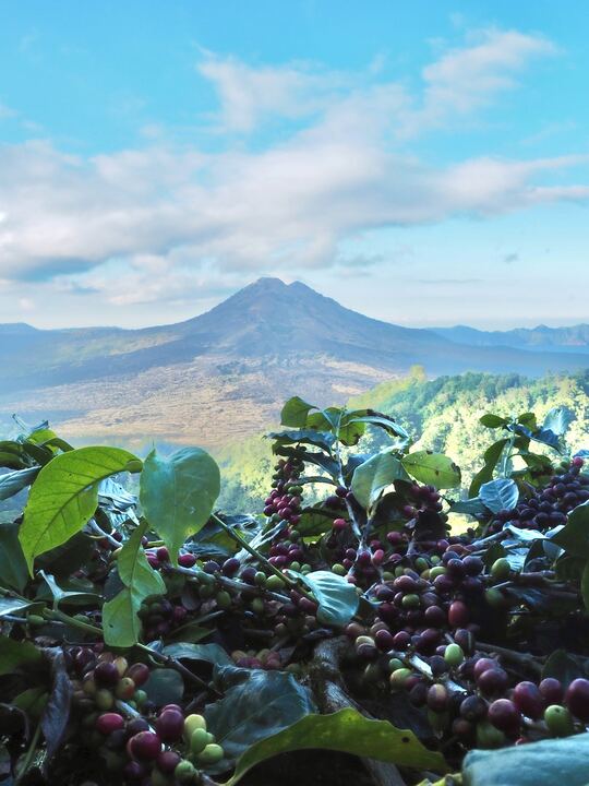 バトゥール山1.jpg