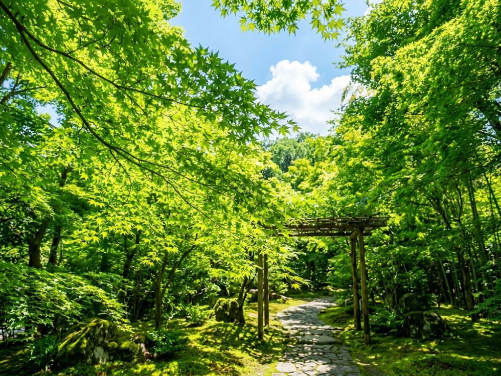 立夏.jpg