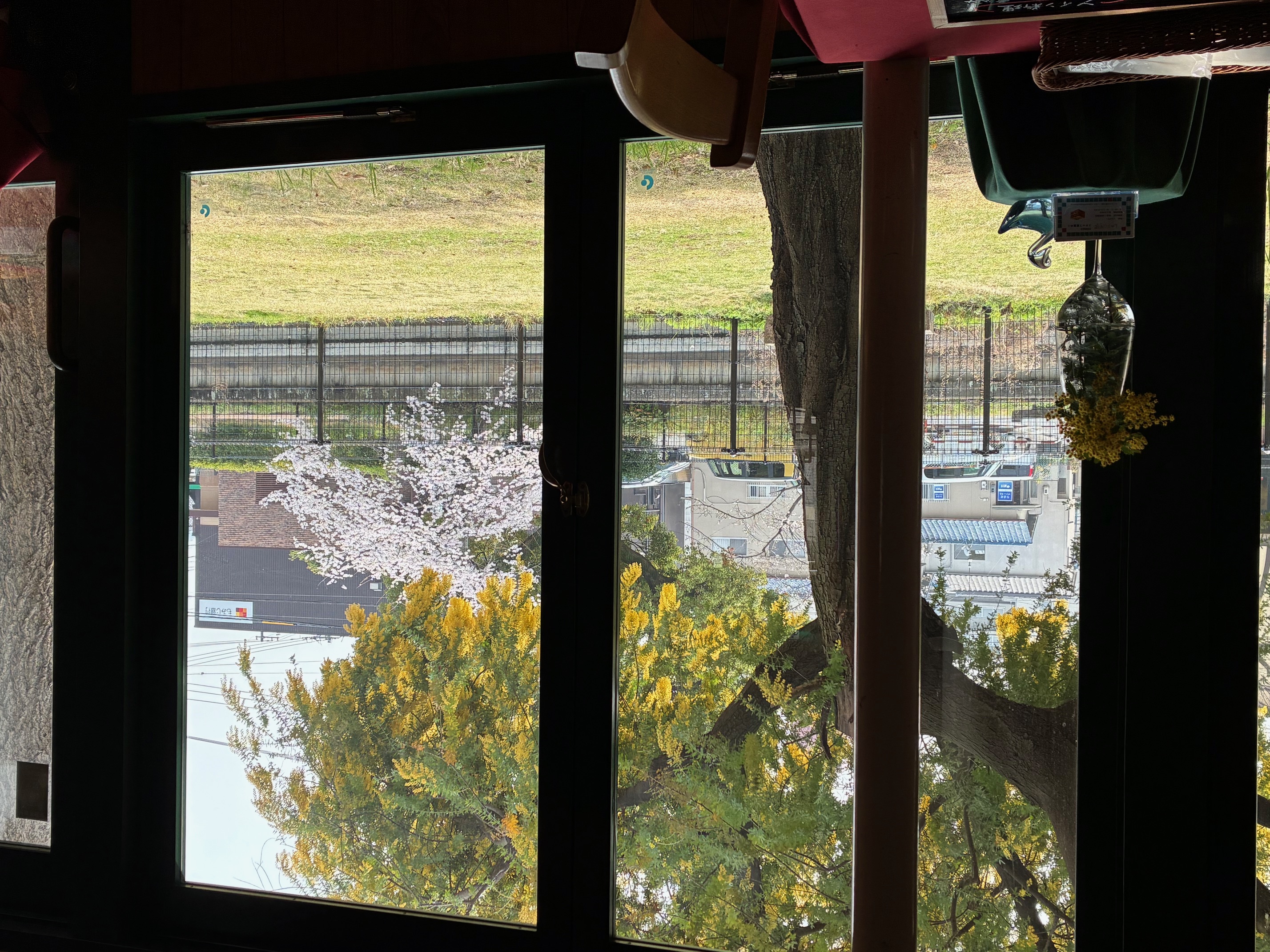 2026.3.31blog②.jpeg