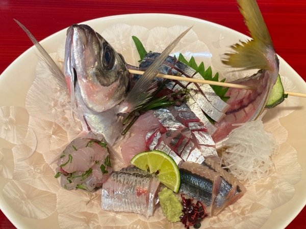 お造り　大阪湾鰯　トビウオ　とつか鰺　秋刀魚　鯖