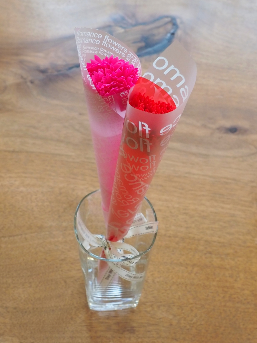 bigmother'sdayplateのカーネーション.jpg