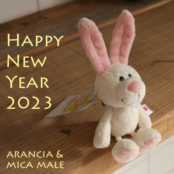 new year rabit