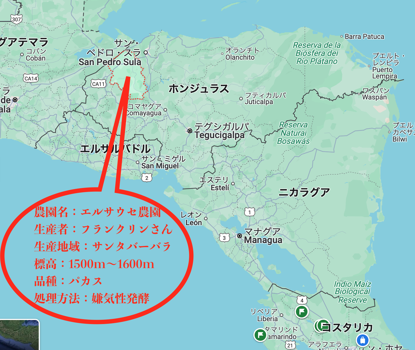 スクリーンショット 2025-06-13 15.20.46.png