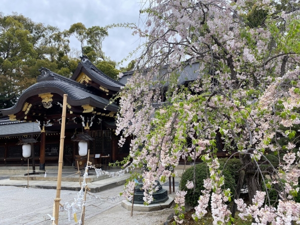 今宮神社