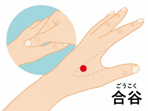 合谷