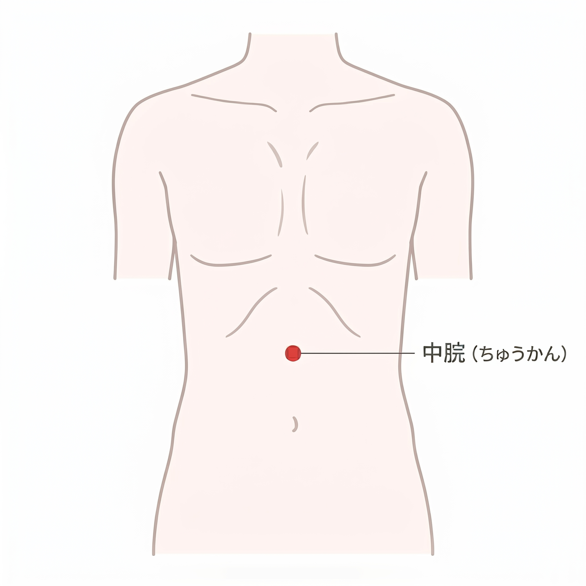 中脘(ちゅうかん).png