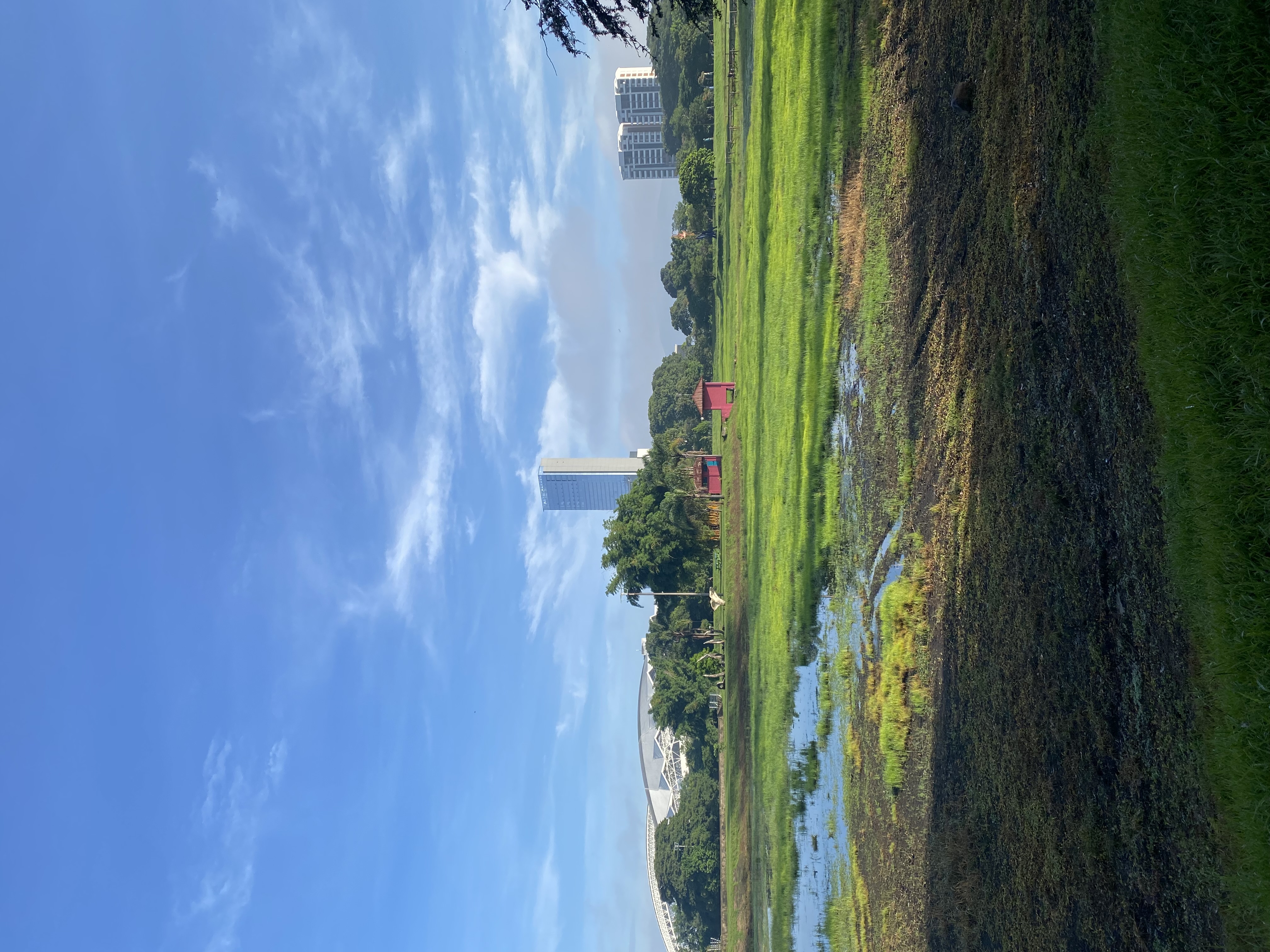 img_6780.jpeg