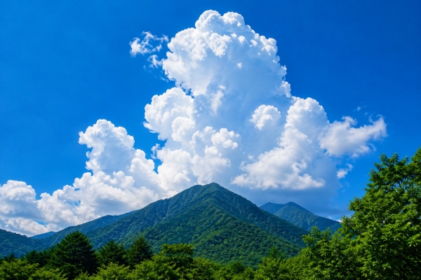 大暑