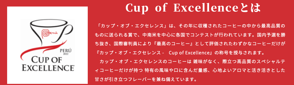 スクリーンショット 2023-12-07 21.54.14.png