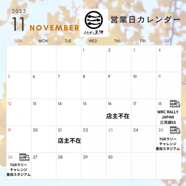 11月