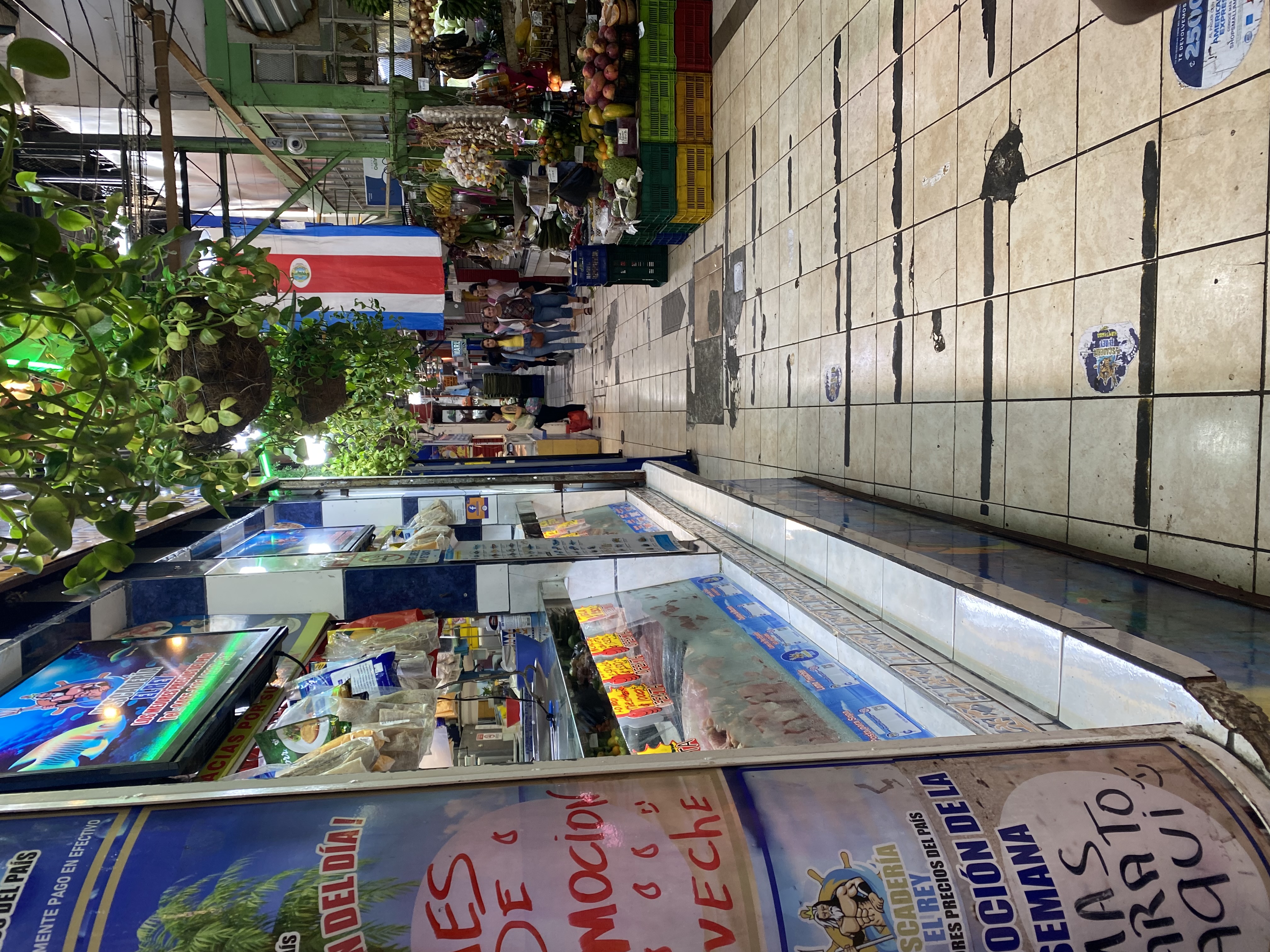 img_6793.jpeg