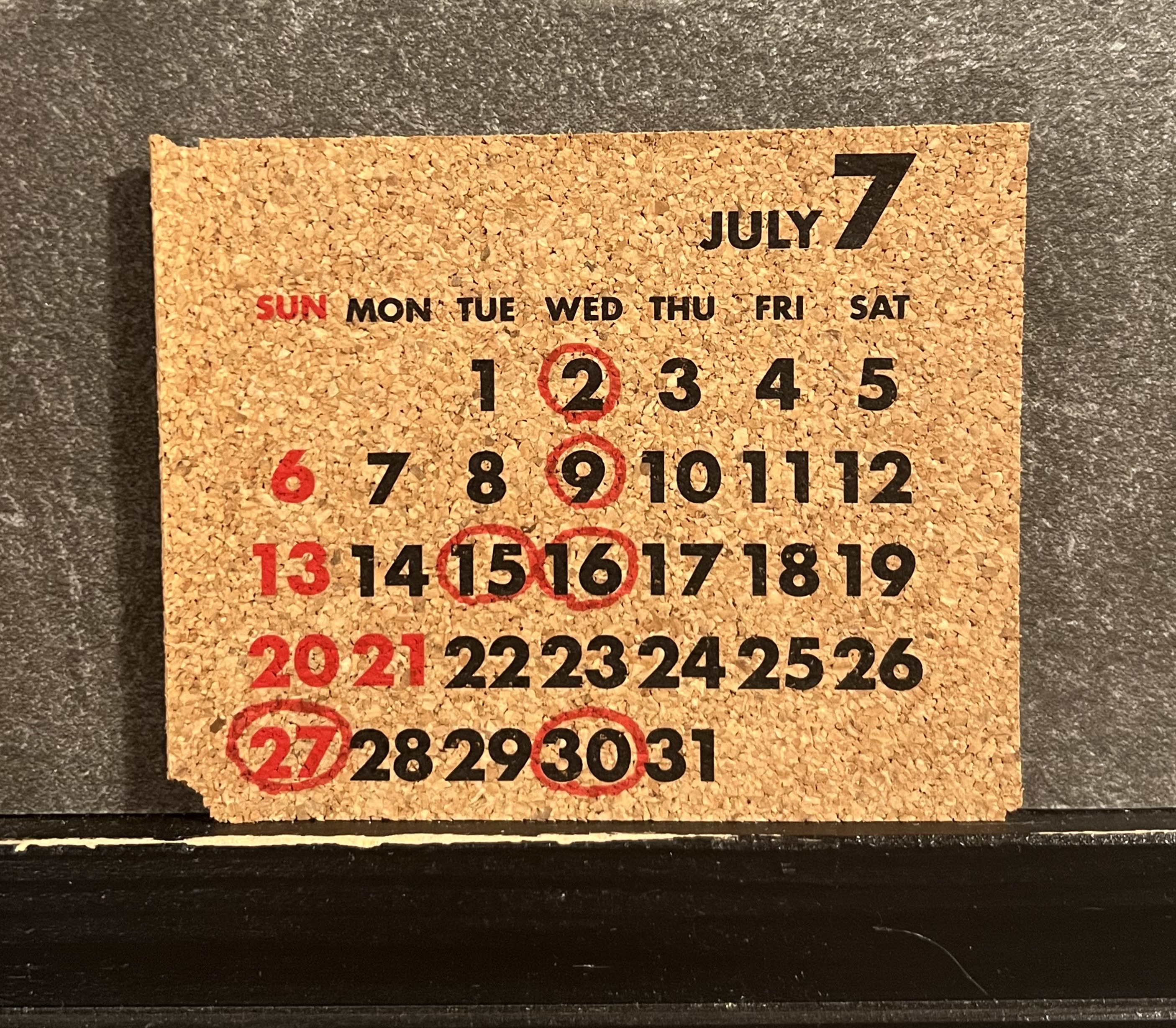 2025.7.jpg